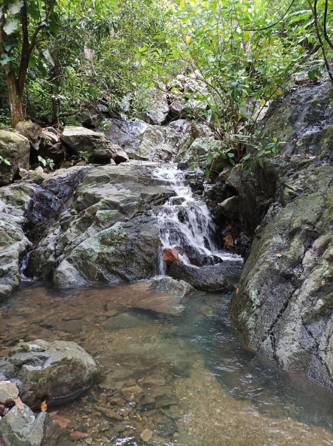 Finca La Selvita Chocolate Experience Buritaca Bagian luar foto