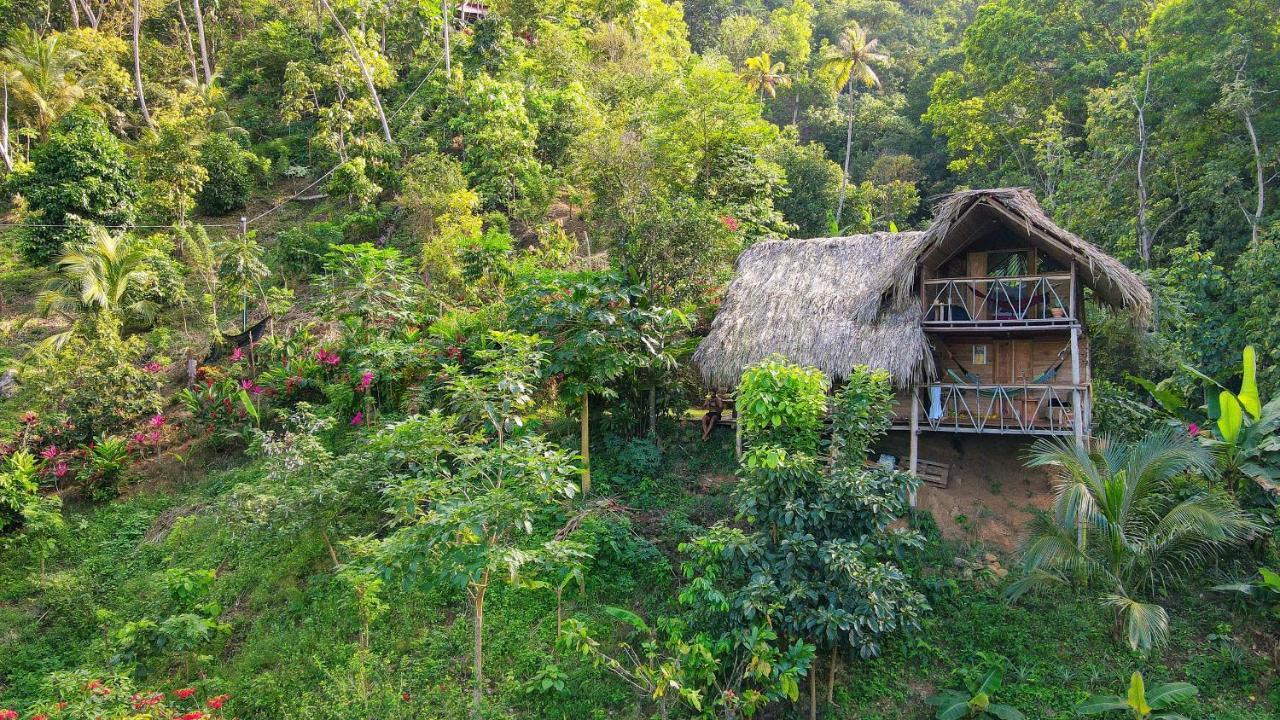 Finca La Selvita Chocolate Experience Buritaca Bagian luar foto