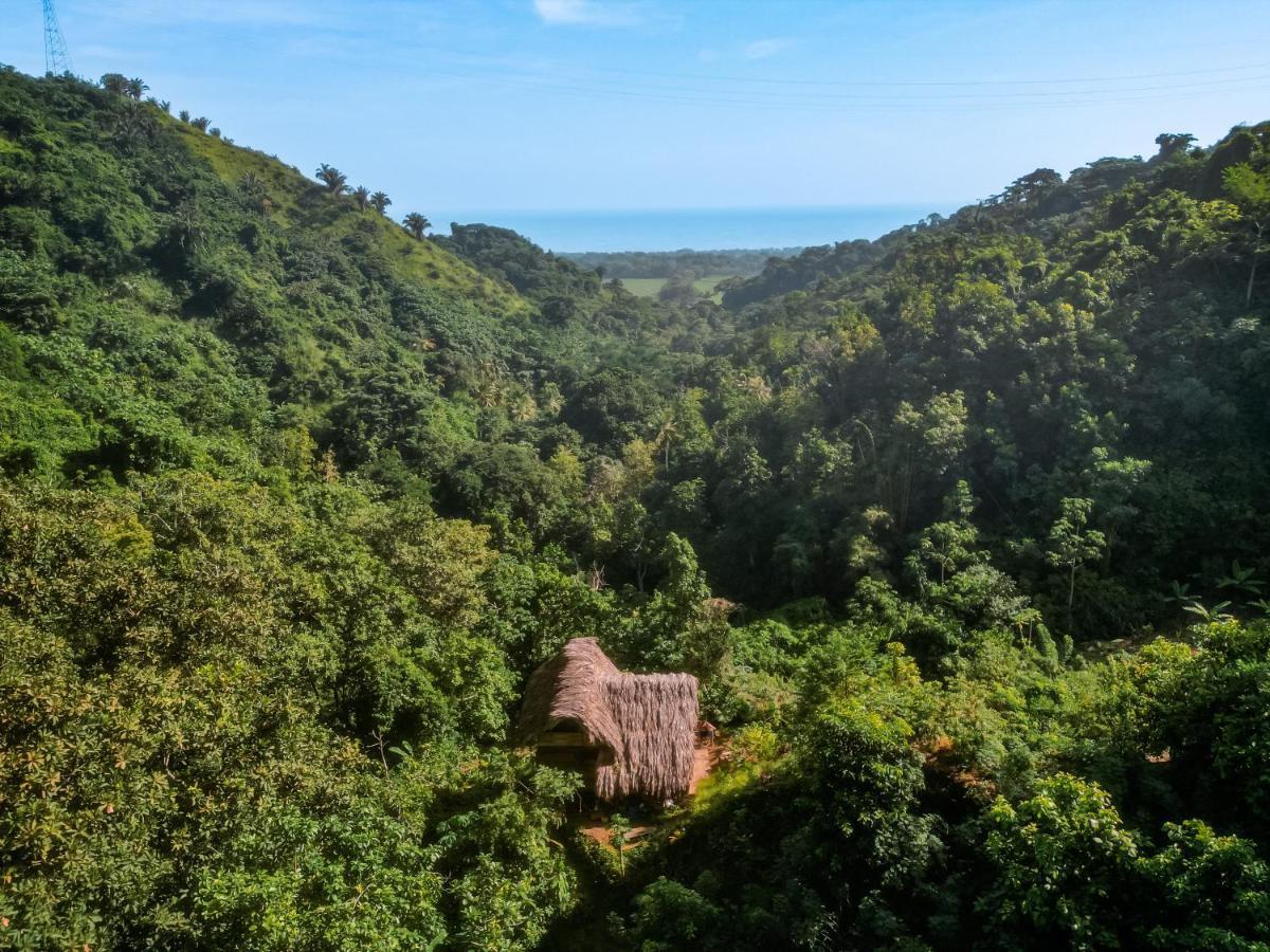 Finca La Selvita Chocolate Experience Buritaca Bagian luar foto