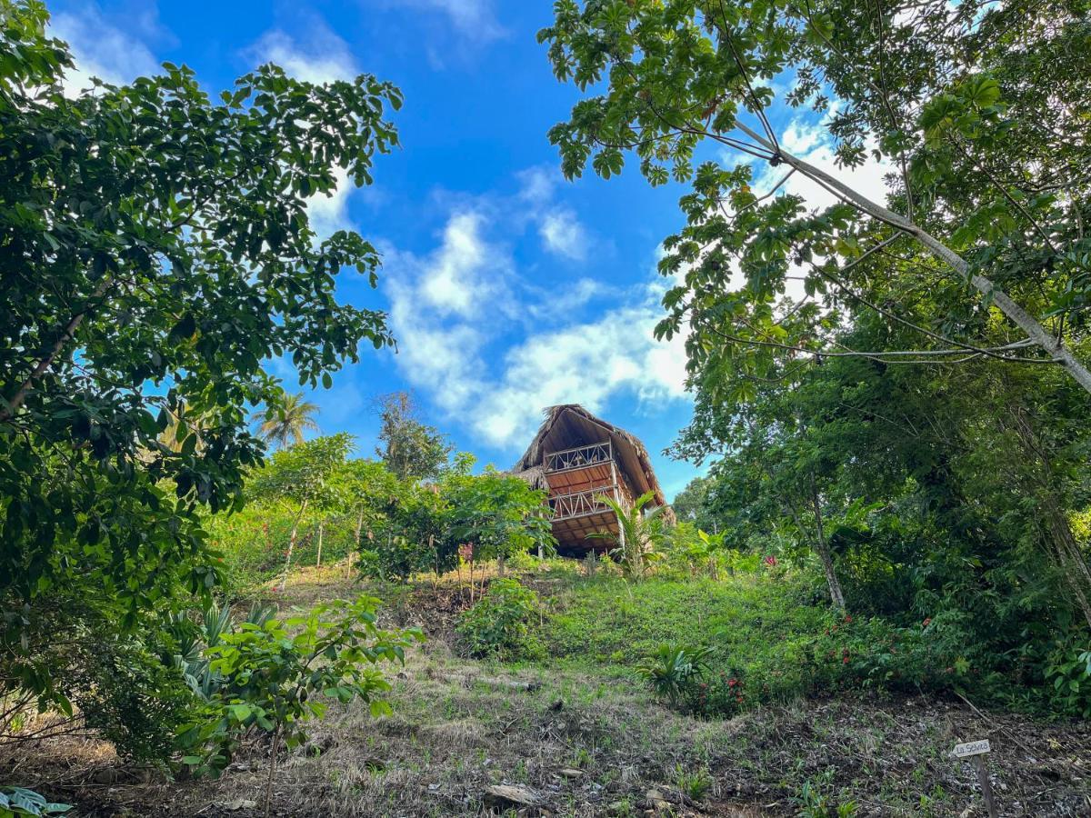 Finca La Selvita Chocolate Experience Buritaca Bagian luar foto