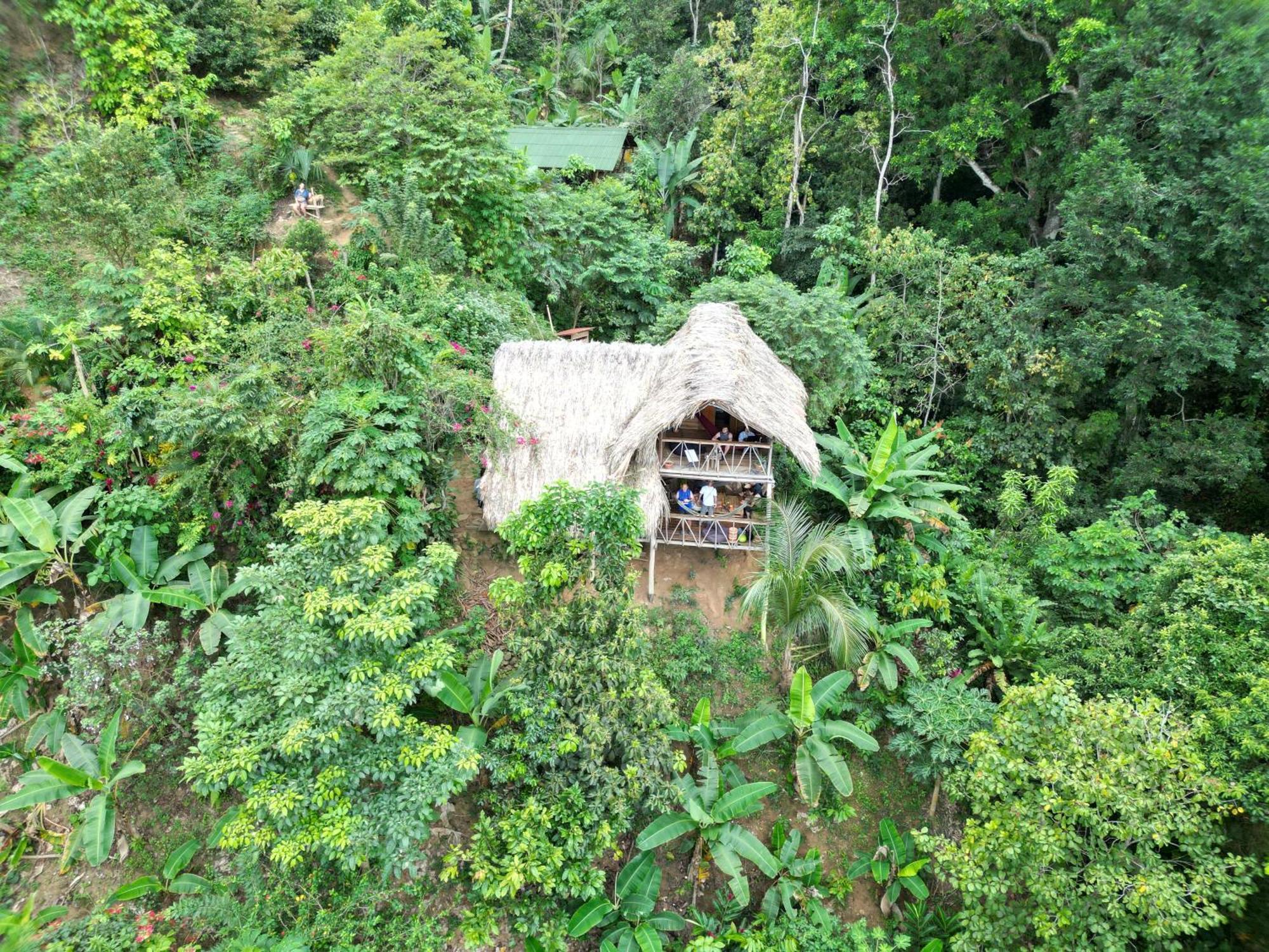 Finca La Selvita Chocolate Experience Buritaca Bagian luar foto