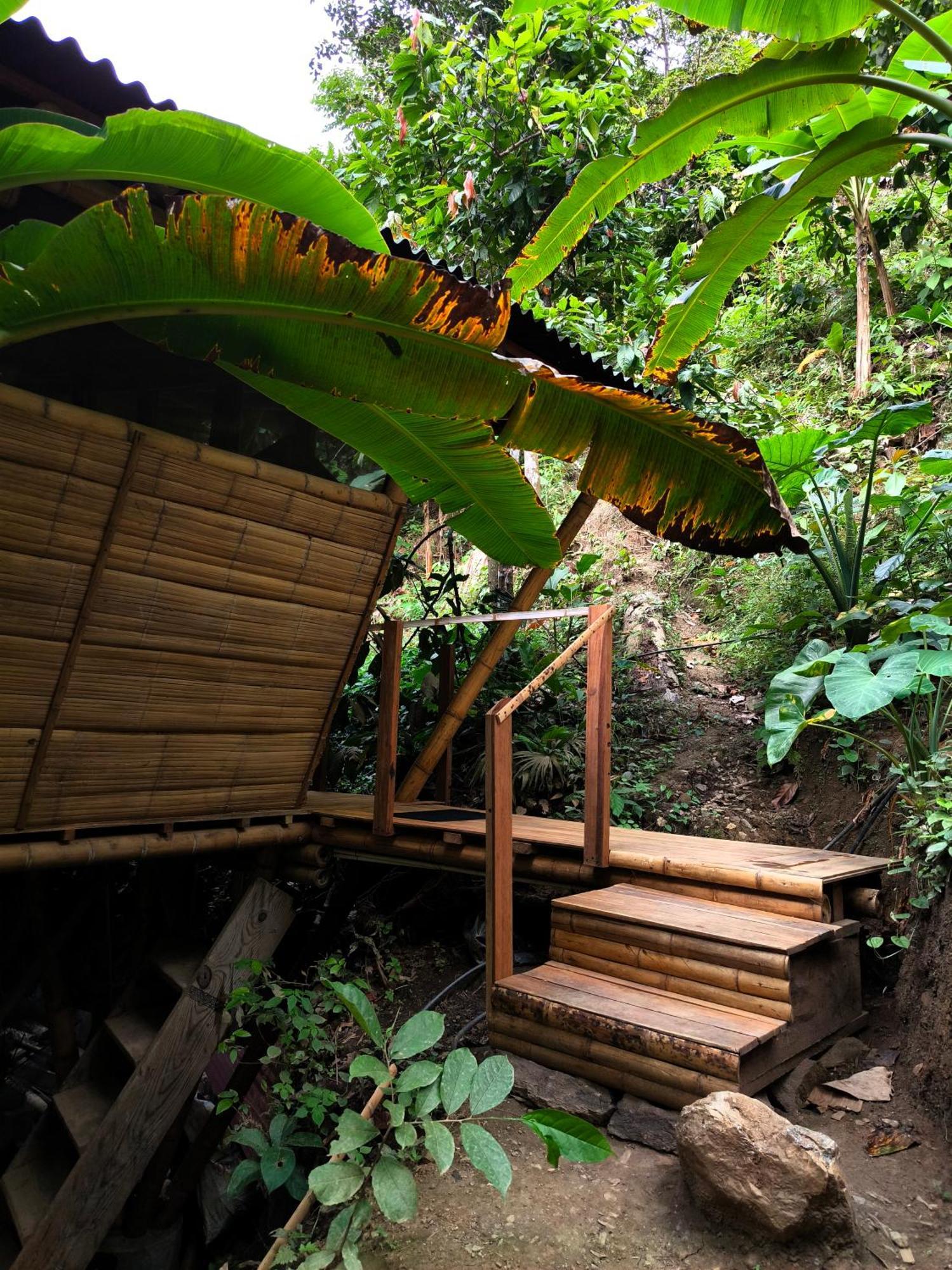 Finca La Selvita Chocolate Experience Buritaca Bagian luar foto
