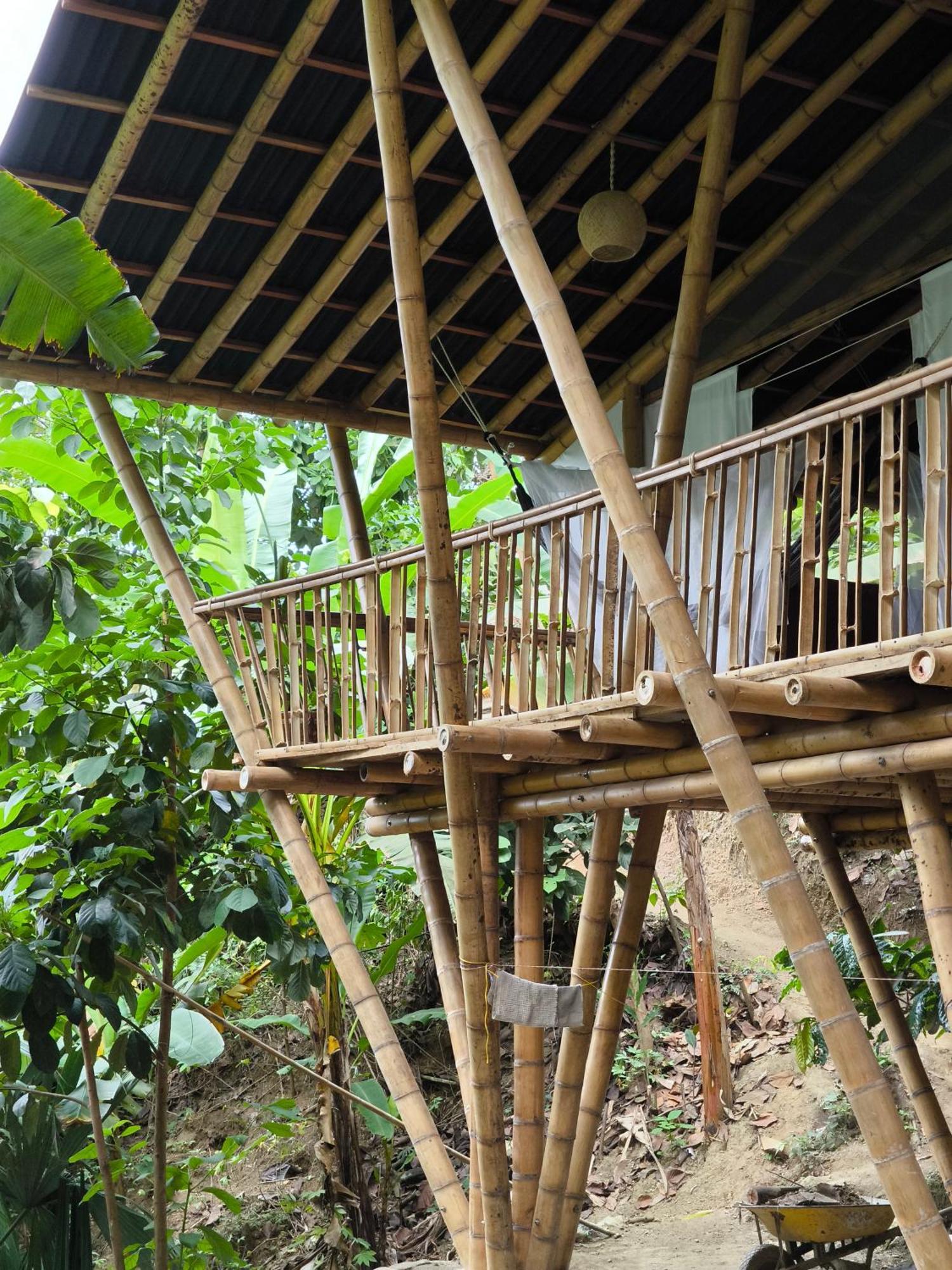 Finca La Selvita Chocolate Experience Buritaca Bagian luar foto