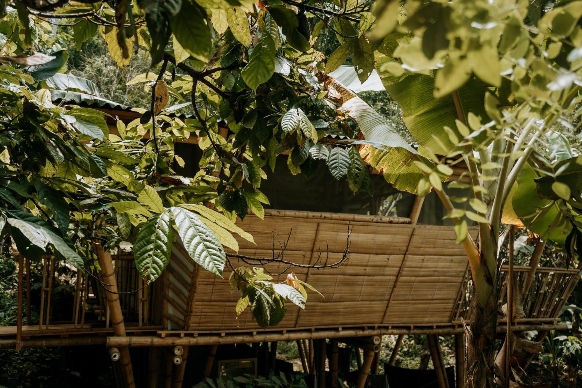 Finca La Selvita Chocolate Experience Buritaca Bagian luar foto