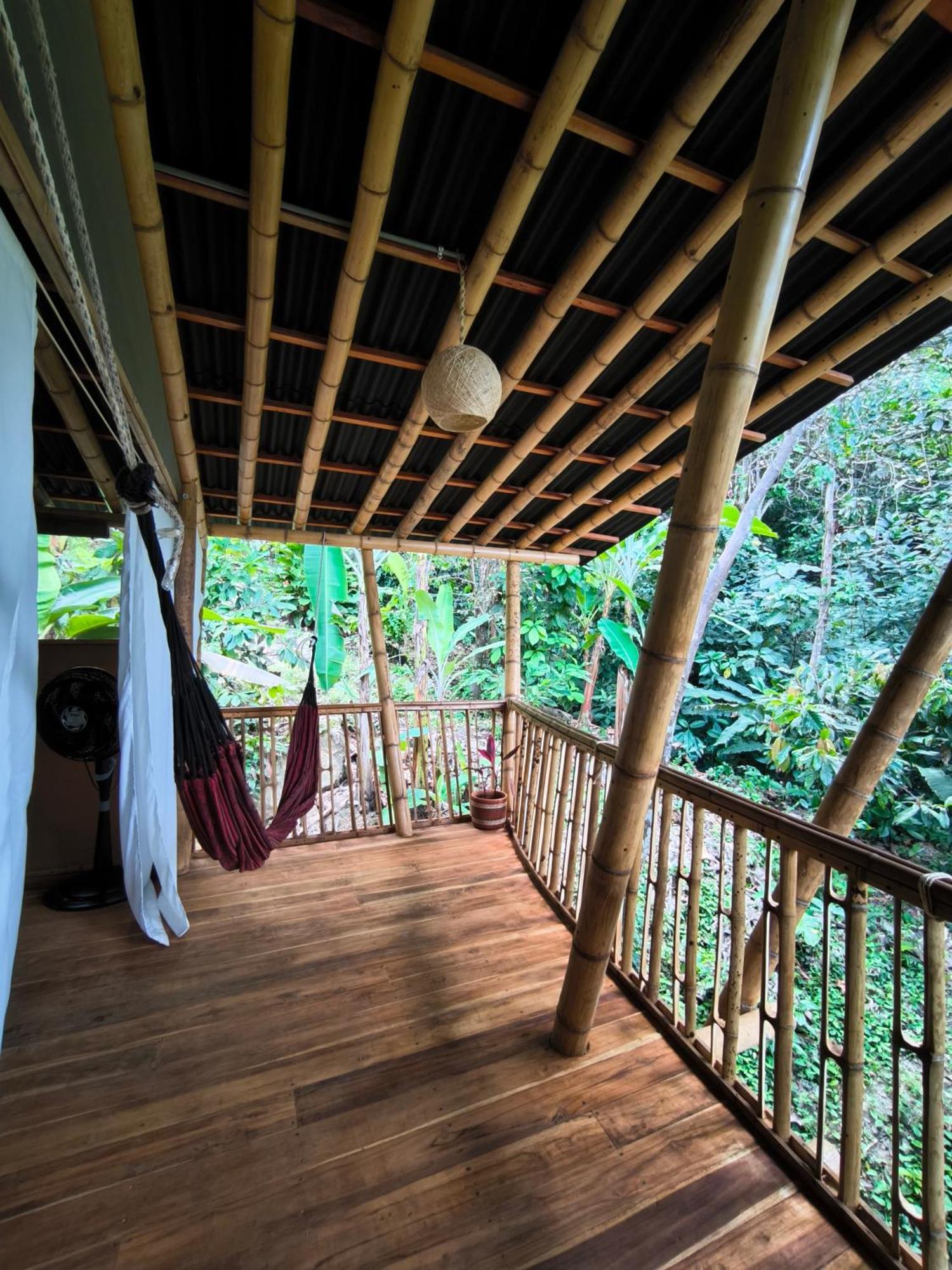 Finca La Selvita Chocolate Experience Buritaca Ruang foto
