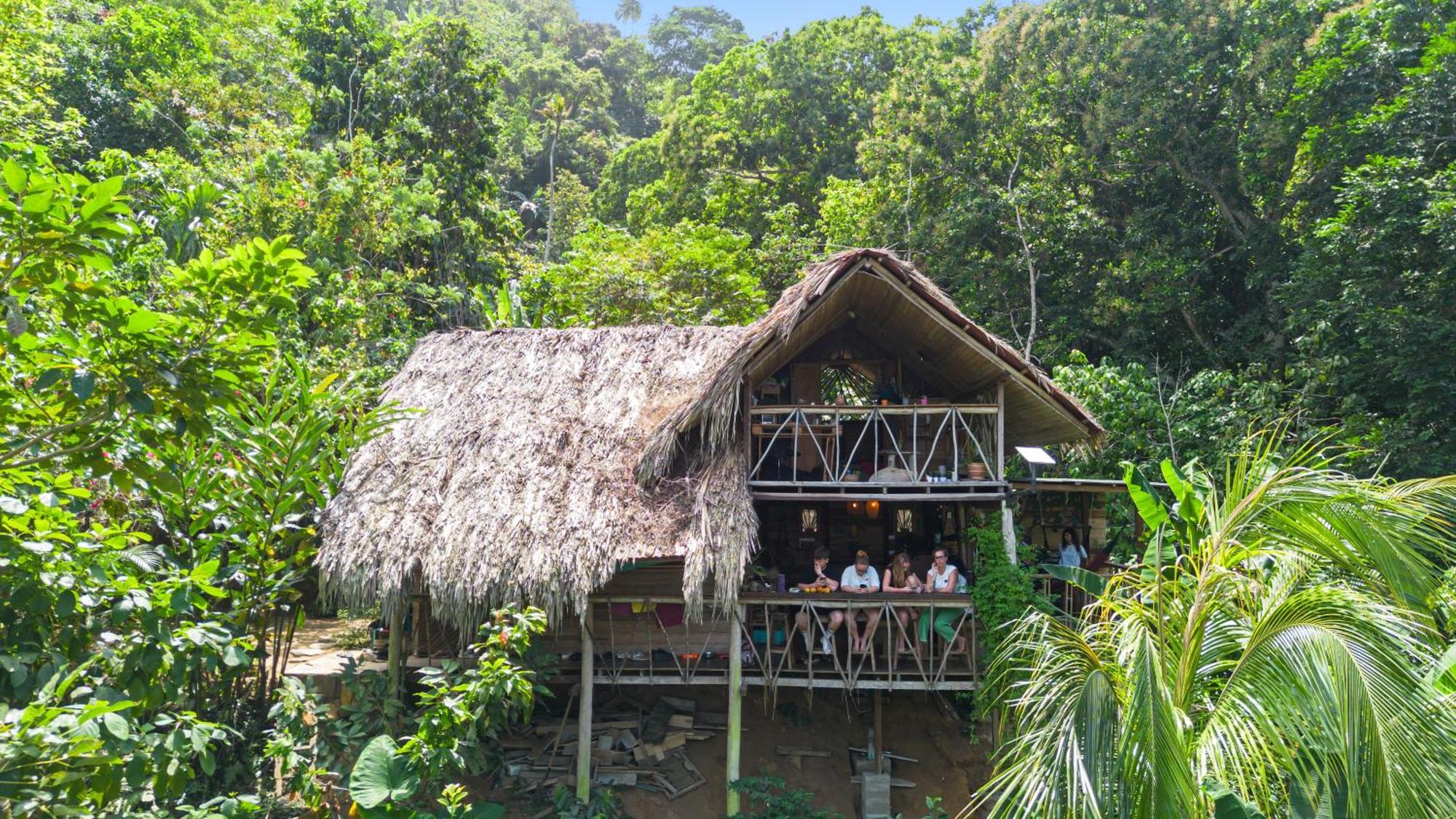Finca La Selvita Chocolate Experience Buritaca Bagian luar foto